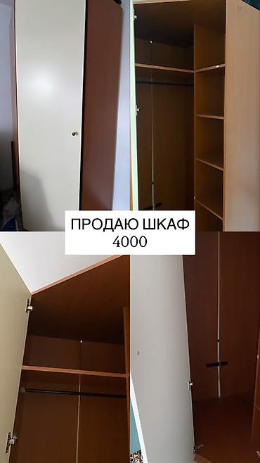 Шкаф для одежды, распашной, двухцветный (корпус — под дерево, фасады — at lalafo.kg Шкаф для одежды, распашной, двухцветный (корпус — под дерево, фасады —