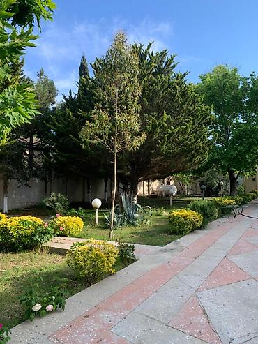 Дома: 5 комнат, 350 м², Свежий ремонт — 7