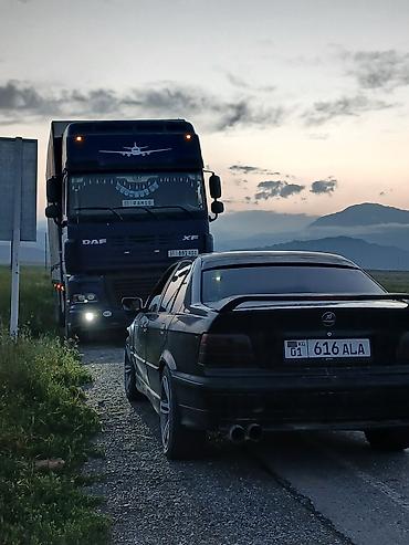 trailer: DAF XF Горный Ритарда 126 куб 5 ось — 1