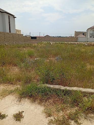 daşınmaz əmlak satışı: 5 sot, Kupça (Çıxarış) — 2