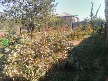 Həyət evləri və villaların satışı: 4 otaqlı, 121 kv. m, Kredit yoxdur, Yeni təmirli — 6