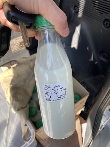 парода эчки: Козье молоко, доставка по бишкеку!