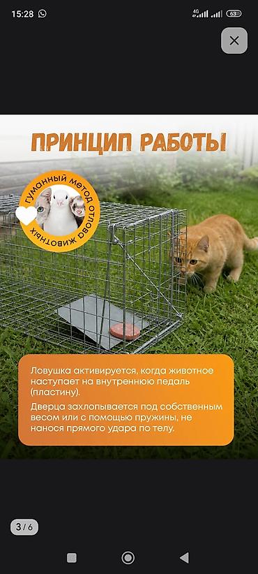 электропастух купить: Складная живоловушка-капкан гуманного типа Назначение: - Отлов кошек — 4