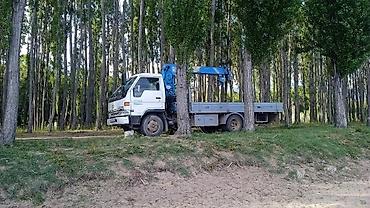 Манипуляторы: Манипулятор — 12