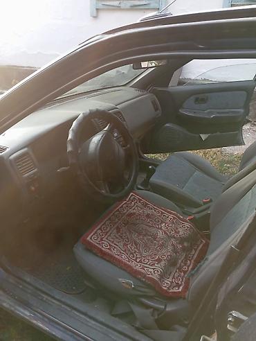 e klass: Nissan Almera: 1997 г., 1.4 л, Механика, Бензин, Хэтчбэк — 5