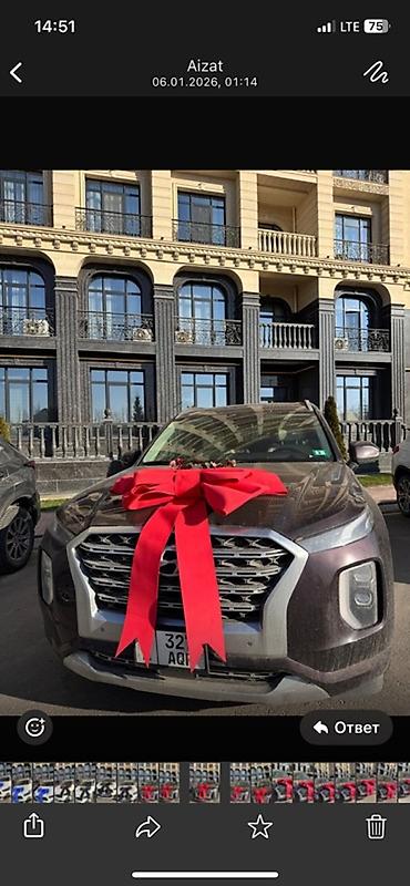 Декоративные ленты и банты: Сдается в аренду Большой праздничный бант на автомобиль цвета — 13