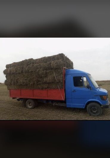 мерс спринтер коротыш: Mercedes-Benz Спринтер: 1991 г., 3 л, Механика, Дизель, Бус
