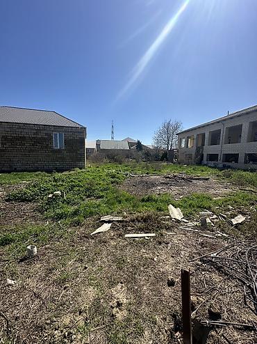 kupça: 6 sot, Tikinti, Maklerlər narahat etməsin, Kupça (Çıxarış) — 2