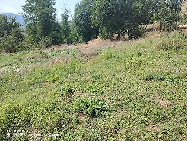 cıxarış nədir: 15 sot, Tikinti, Mülkiyyətçi, Kupça (Çıxarış) — 1