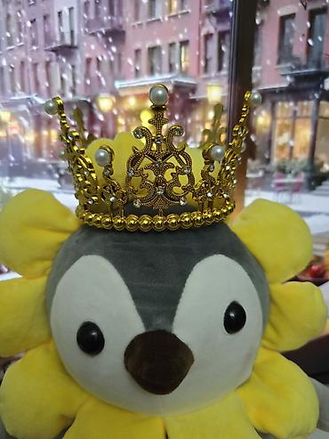 Аксессуары для волос: Аксессуар для волос, Диадема, Женские, Материал: Металл, Новый — 2