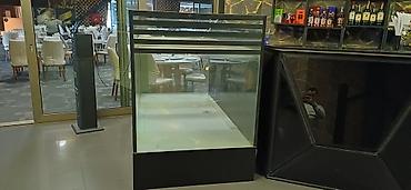 akvarium zavod istehsalı: Metal, Zəmanətsiz, Kredit yoxdur — 1