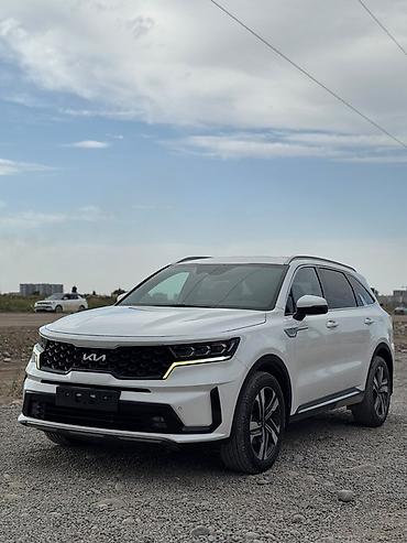 защита капота: Kia Sorento: 2022 г., 1.6 л, Автомат, Гибрид, Кроссовер — 2