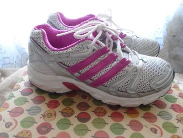 Patike: Adidas, 36.5 — 2
