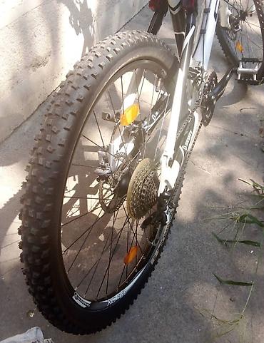 Ostali motocikli i skuteri: Sportski Bickl SCOTT — 26