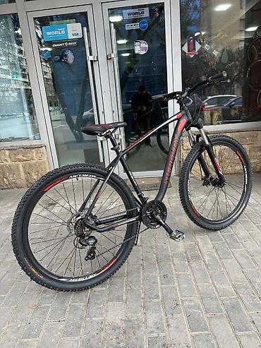 Dağ velosipedi – Mercury markası, 29” təkərli - Çərçivə: yüngül və