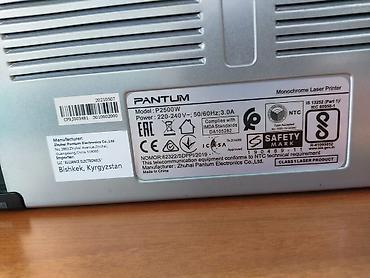 hope p50: Продаю принтер Pantum P2500W в хорошем состоянии. Принтер полностью — 4