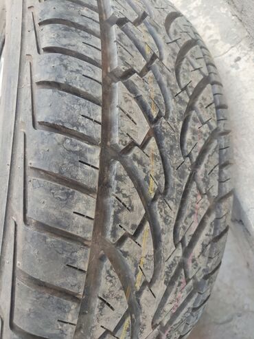 m5 f90 цена бишкек: Колеса в сборе 265 / 60 / R 18, Всесезонная, 1 шт, Внедорожные (АТ/МТ), Литые, отверстий - 6