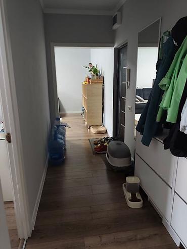 8: 2 комнаты, 48 м², 8 мкр 105 серия, 9 этаж, Свежий ремонт — 2