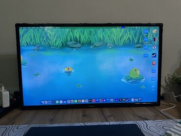 Televizorlar: İşlənmiş Televizor Eurolux 82" FHD (1920x1080), Ünvandan götürmə