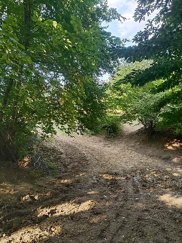 Torpaq sahələrinin satışı: 92 sot, Biznes üçün, Mülkiyyətçi, Kupça (Çıxarış), Bələdiyyə, Müqavilə — 19