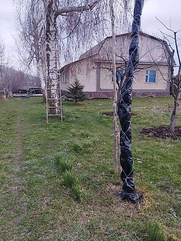 Продажа участков: 13 соток — 4