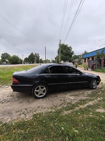 rox 01: Mercedes-Benz S-Class: 2000 г., 5 л, Автомат, Газ, Седан — 4