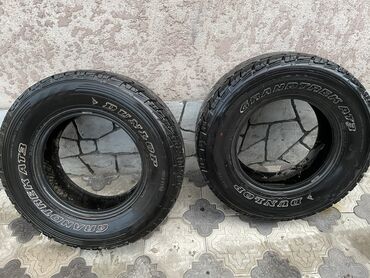 шина 255 70 16: Шины 255 / 70 / R 16, Новый, Пара, Внедорожные (АТ/МТ), Dunlop