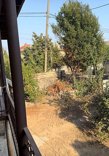 Həyət evləri və villalar: MASALLI RAYONU BORADIGAH SENTERDE TRASA YAXIN OBYEKTE YARARLI 3 sot — 8