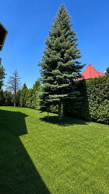 Продажа домов: 6 комнат и более, 300 м², 10 соток, Бишкек, Ала-Арча ж/м Агентство недвижимости — 2