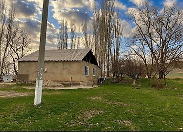 Продажа другой коммерческой недвижимости: 📌"В урочище ""Широкий"" Нарзан а/о продается кошара, дом из 4-х комнат — 9