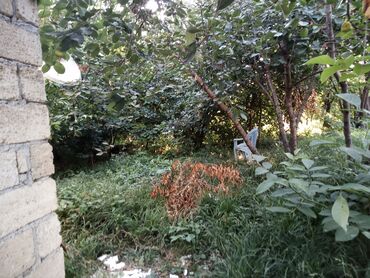 Həyət evləri və villaların satışı: 1 otaqlı, 225 kv. m, Kredit yoxdur, Orta təmir -da lalafo.az — 6 Həyət evləri və villaların satışı: 1 otaqlı, 225 kv. m, Kredit yoxdur, Orta təmir — 6