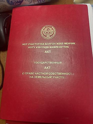 ысык куле: 8 соток, Курулуш, Кызыл китеп — 2