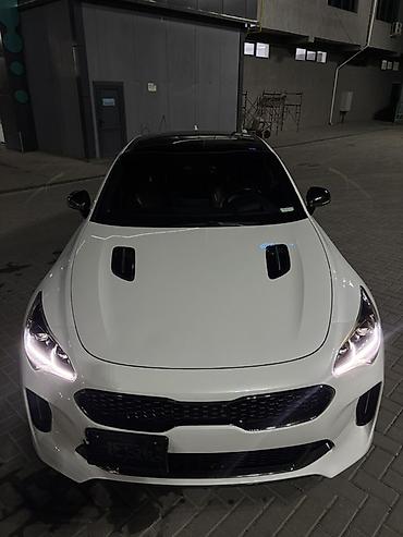 Kia: Kia Stinger: 2021 г., 3.3 л, Автомат, Бензин, Лифтбек — 2