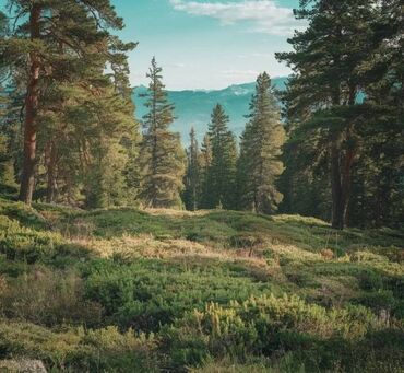 Prodaja zemljišta: 52 ares, Vlasnik — 14