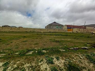 Torpaq sahələrinin satışı: 8 sot, Tikinti, Kupça (Çıxarış) — 7