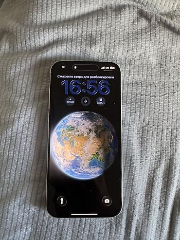 tab s9: IPhone 17 Pro Max, Б/у, 512 ГБ, Серебристый, 100 % — 5