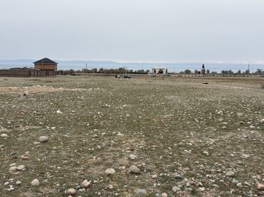 участок сары камыш: 8 соток, Для бизнеса, Красная книга