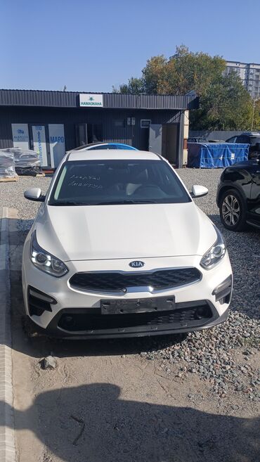 соренто бампер: Kia K3: 2019 г., 1.6 л, Автомат, Бензин, Седан