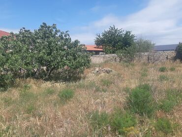 Bağ evlərinin satışı: Bakı, Pirşağı qəs., 23 kv. m, 1 otaqlı, İşıq, Su, Qaz — 6