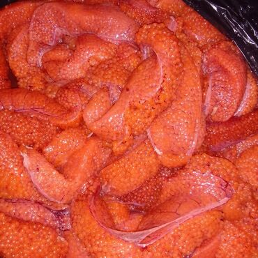 перепелиные мясо: Ястыки икры форели свежие есть еженедельно