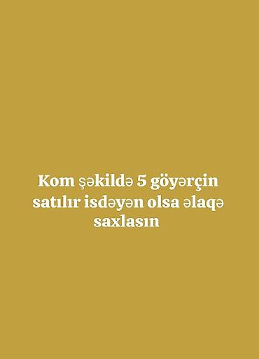 www.toyuq ve cuce yem qablari: Hazır çüt də var içibdə üçü oynaq isdəyən olsa buyursun əlaqə saxlasın — 1