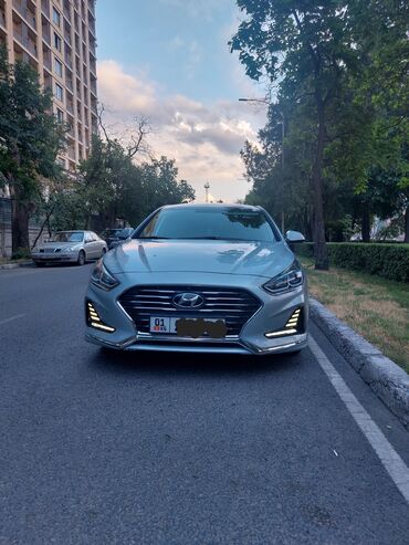 накидка на сиденья: Hyundai Sonata: 2017 г., 2 л, Автомат, Газ, Седан