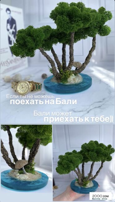 Декоративные цветы: Бонсай ручной работы из натурального стабилизированного мха от 1500 — 22