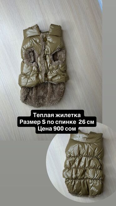 аксессуары для крупных собак: Одежда для кошек и собак. Все НОВОЕ РАЗМЕР И ЦЕНА УКАЗАНЫ НА ФОТО