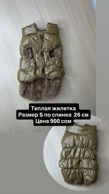 Зоотовары: Одежда для кошек и собак. Все НОВОЕ РАЗМЕР И ЦЕНА УКАЗАНЫ НА ФОТО — 26
