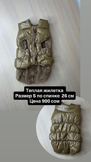 Зоотовары: Одежда для собак и кошек, большой выбор Все НОВОЕ РАЗМЕР И ЦЕНА — 1