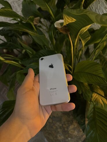 iphone 8 qırıq: IPhone 8, 64 GB, Gümüşü, Barmaq izi