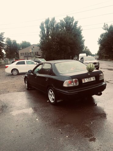 машинка для кнопка: Honda Civic: 1995 г., 1.5 л, Механика, Бензин, Седан