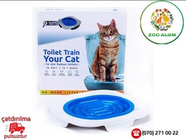 Bio-tualetlər və doldurucular: Pişiklər üçün tualet tərbiyəsi. Bu məhsulumuzla artıq sevimli — 2