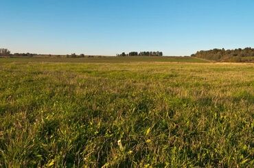 продажа сгу: Для сельского хозяйства, Договор купли-продажи